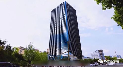 墊江 揚帆啟航高新路，數(shù)字技術(shù)服務(wù)賦能縣域發(fā)展新篇章